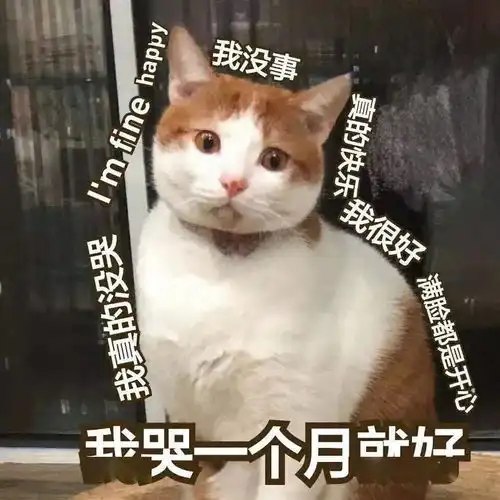  一秒入夏合肥气温高达31然而更让人难熬的是
