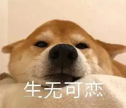  表情包杂集猛狗哭泣
