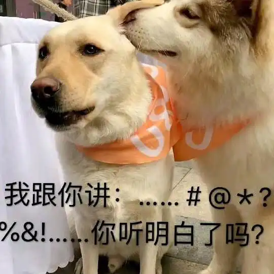  冻冰冰的相册沙雕表情包头像