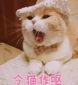 甲你祖宗表情包