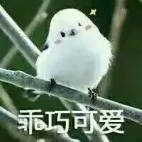  芯芯相印,芯芯相惜