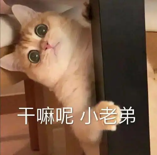  斗图专用表情包我看你是在为难我奥某人
