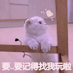 金馆长表情包手机下载袋