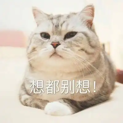  墨夜笙仙女表情包