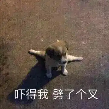 宝贝贴贴表情包好先生
