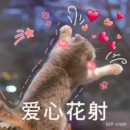 撩女友表情包郑渊洁