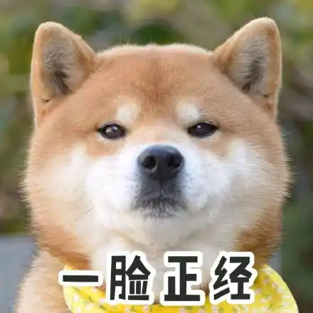  宠物带字动态表情包