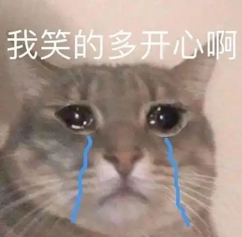霸总表情包收款