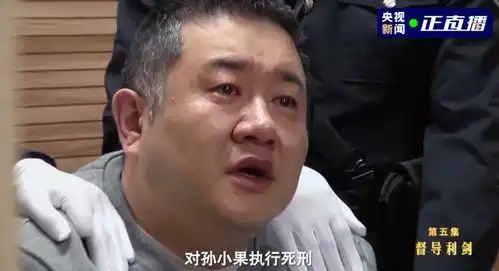  孙小果哭了被执行死刑前现场画面,首次曝光