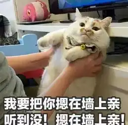  那只用表情入侵地球的网红猫,今天终于要回喵星了
