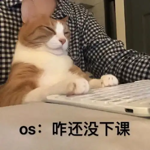  像极了在家上网课的你,一不小心就睡着了