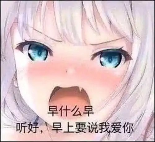 网文