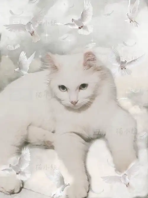  有人可以帮我看看我家田园猫猫串了什么吗我好担...