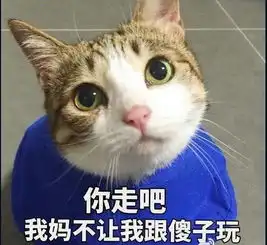 猫咪开心表情包傻子