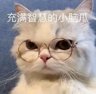  学会使用直通车,淘宝小白快速告别低流量低转化