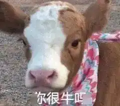  沙雕表情包i你算什么东西