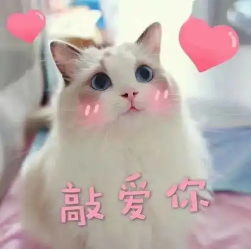  2020年6月润物志征稿啦