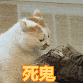  暴跌至10台风强冷空气突袭上海然而更可怕的是....