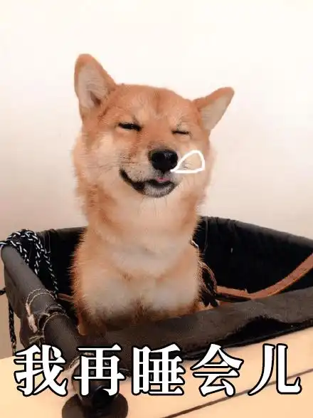 龙图表情包杀妈柴犬