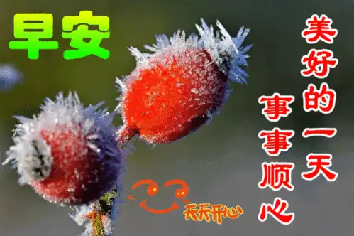  10月26日最漂亮早上好动态表情图片大全,早晨好动图美图大全