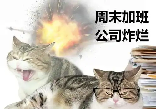  猫咪打工表情包来上班我只做七件事