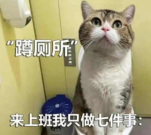  猫咪打工表情包来上班我只做七件事