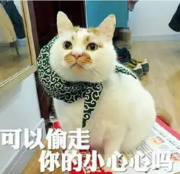  人气超高的网红猫去世,你的表情包里面还会有它们吗