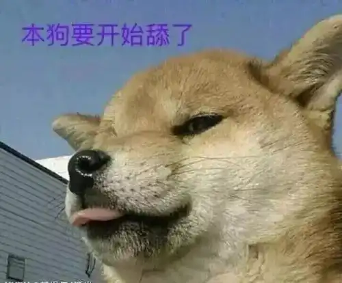 熬夜刷抖音表情包略略略
