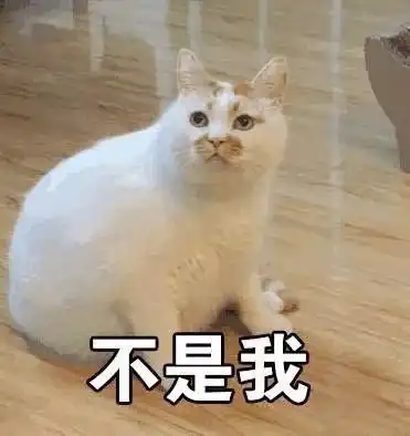  看一次笑一次快来收藏表情包还有压箱底的...