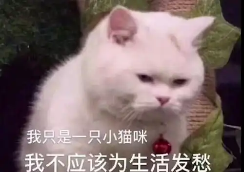 表情包开心什么意思热sk