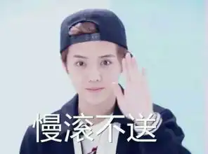  exo鹿晗表情来自会打游戏的狍子的图片分