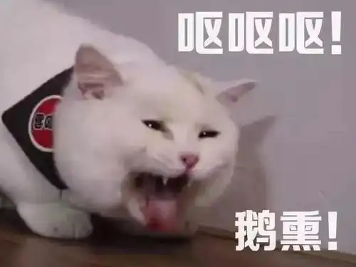  沙雕表情包我早晚拱了你这颗白菜