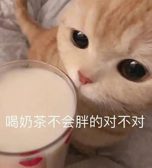  给个机会8