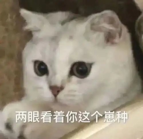  笑话妈妈你真笨,爸爸抱的是隔壁王阿姨
