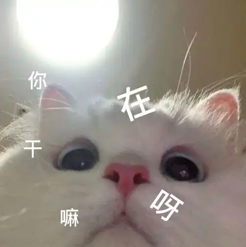  表情包好久没看到钟意的表情了