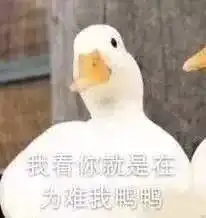 同事天天上下班蹭我车,也不说给我加点油我也不好意思不带他怎么办