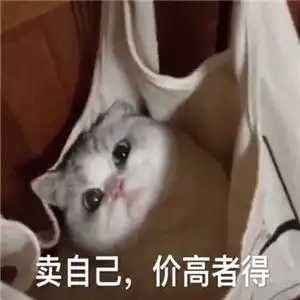  春节出租自己价格表表情包无水印抖音搞笑表情包分享后壳下载