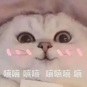 表情包最近好困,为你所困
