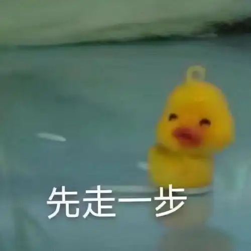 各个表情包的意思鸭鸭