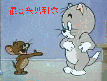 cc猫动态表情包低俗