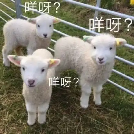  沙雕小动物表情包越可爱,越萌,越骚