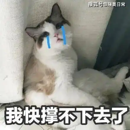  成功美女妈妈的致富朋友圈,孩子同学的妈妈被坑惨,1800万打水漂