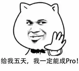  滑板表情包,斗图专用