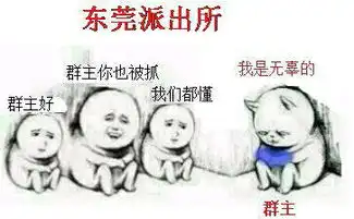  表情与斗图22无节操表情包12