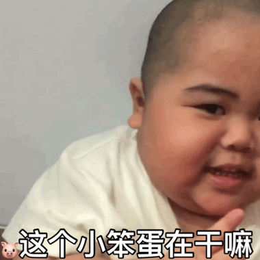  小胖子表情包这个小笨蛋在干嘛