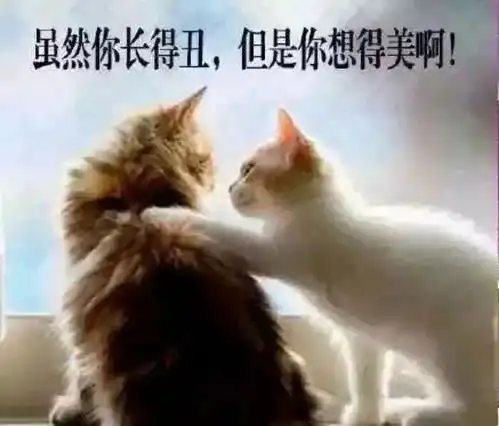  关于高温强制放假通知