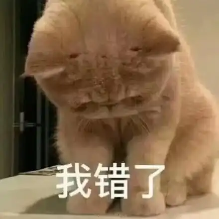  理直气壮的道歉表情包合集对不起我错了,保证没有下次了