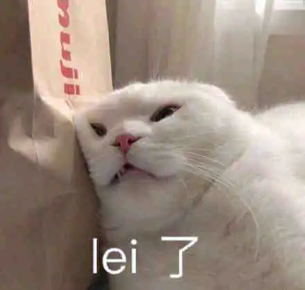  今日份表情包我太脆弱了我上辈子一定是一片海苔