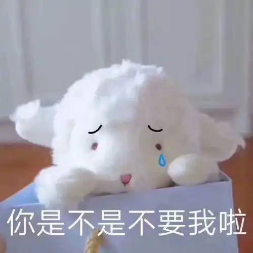  有什么好看的表情包吗