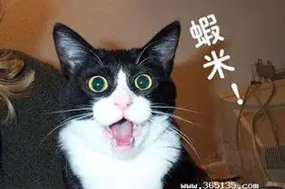 可爱大嘴猫表情图